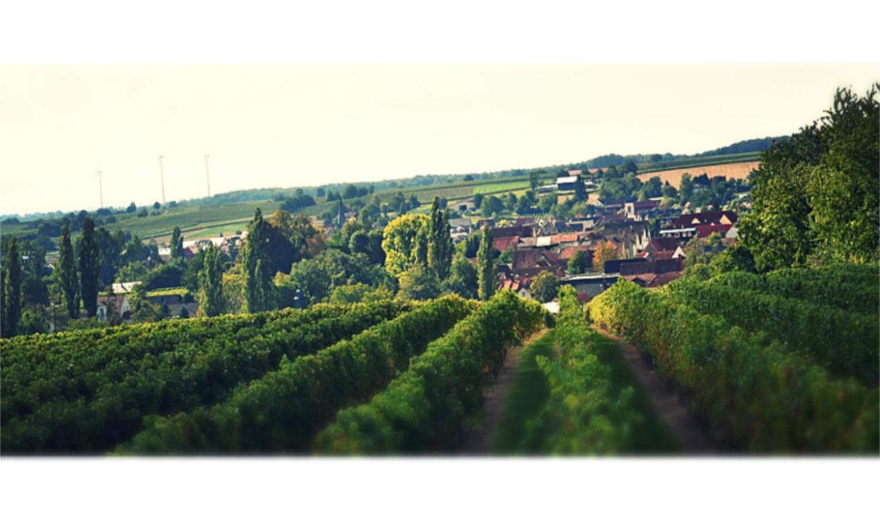 Ferienhaus&Weingut am Steingebiss Billigheim-Ingenheim Exterior foto